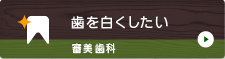 歯を白くしたい 審美歯科