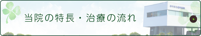 当院の特長・治療の流れ